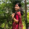 pandeyusha4