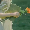 daissy_ttr