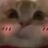 tani_1407