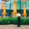 136729lanh