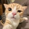 nury_alllllll
