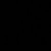 22ho