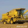 sajjadjutt519