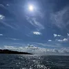 adam_a_d7733