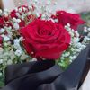 d3_rose