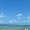 user451096179