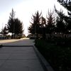 davidgmleon_25
