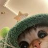 ˚⋆𐙚｡