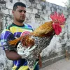 juniorcorrea11