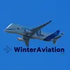 winter.aviation