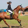 sk.horses_