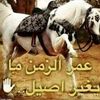user31099655
