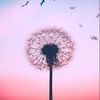 andrea_stephanie8