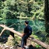 ardian_ty