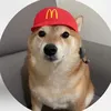 long_visaoo