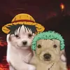 userkvy_