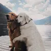 nsiaibdnsnjjdj