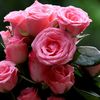 tiktok.user.72