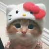 lhpjs_ari
