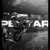 pektar135