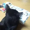ssssssaaaaattto