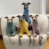The Iggy Family