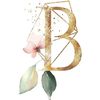 brenda30anaya