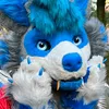 foxyfan1401