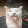 ngmmeacha