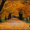 thenow04