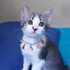 kroryu