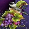 alshaheen39