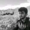 halabjaym444