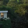 rlinnyg
