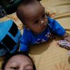 fery_shimple