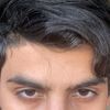 id3381