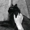 mr0_tv