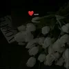 zahtt08