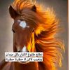noorah3340