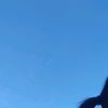 kiwi23_pp
