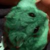 hampter_gaming