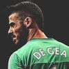 joynerdegea5