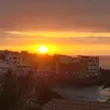 mayadodani