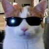 1_cat7h_10