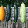 La Huerta de Mi Casa