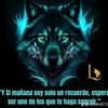jaguarsito8
