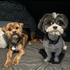 maxandfranksadventures