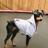 imscrappy24