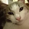 felipesav