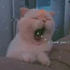 deynquitcodm